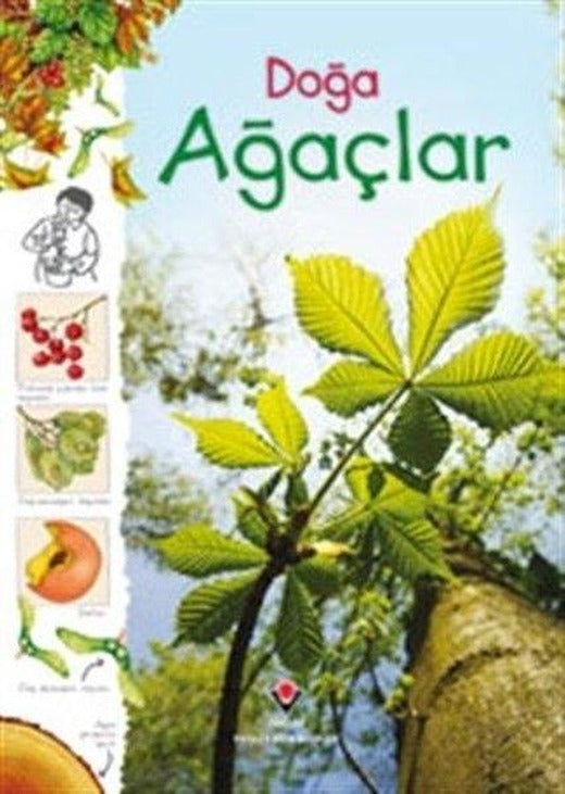 Doğa-Ağaçlar | Tübitak Yayınları (İnce Kapak)