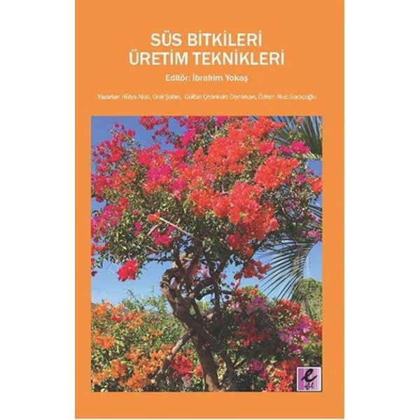 Süs Bigileri Üretim Teknikleri | Efil Yayınevi Yayınları (İnce Kapak)