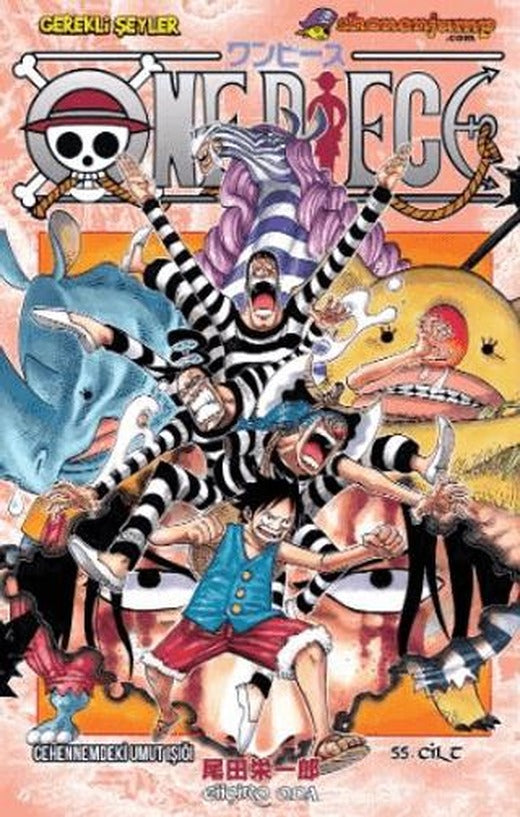 One Piece 55. Cilt