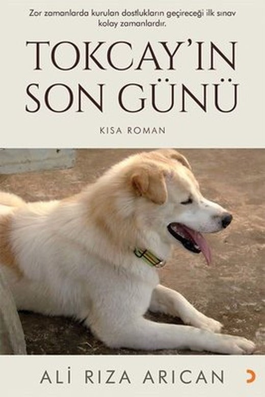 Tokcayın Son Günü - Kısa Roman | Cinius