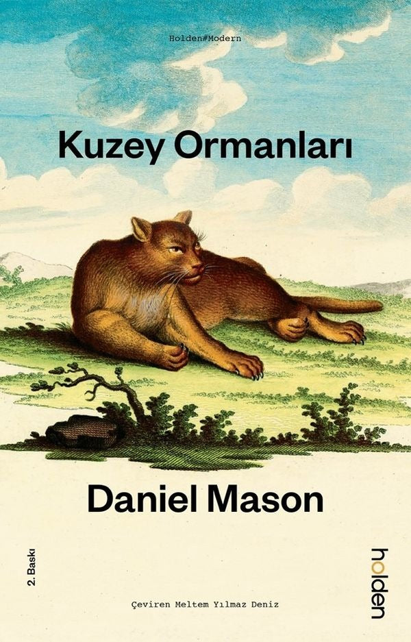 Kuzey Ormanları | Holden