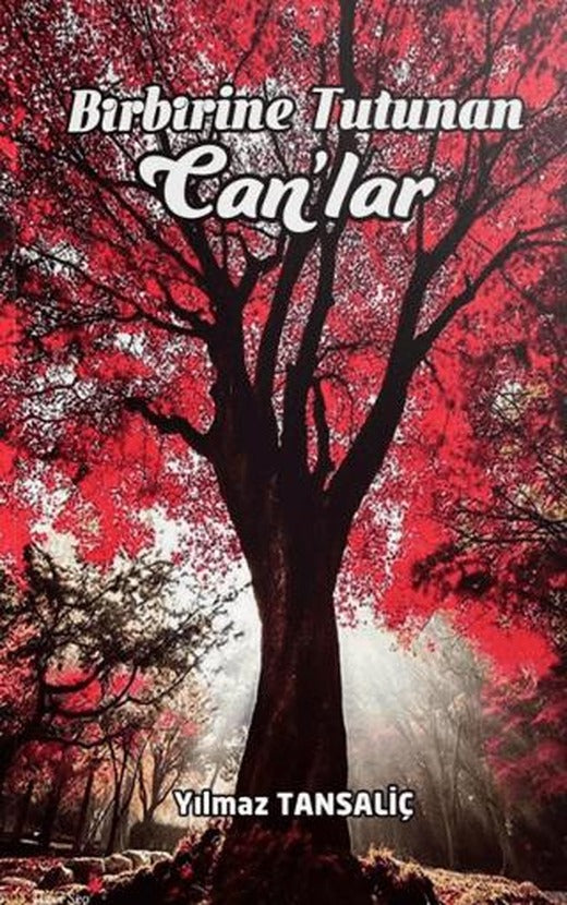 Birbirine Tutunan Can'lar | Akademi Yayınları (Ciltsiz)