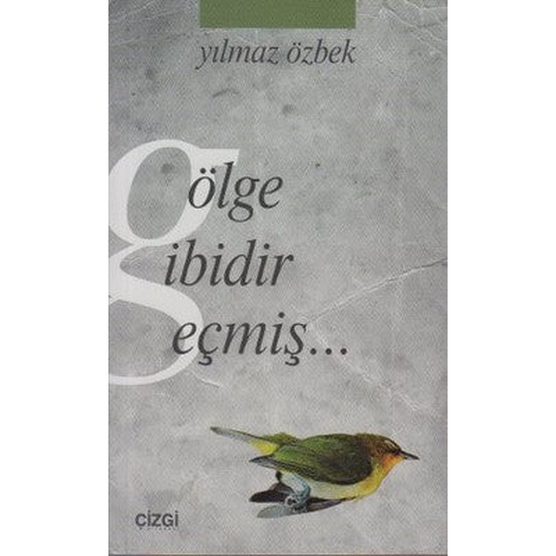 Gölge Gibidir Geçmiş | Çizgi Kitapevi