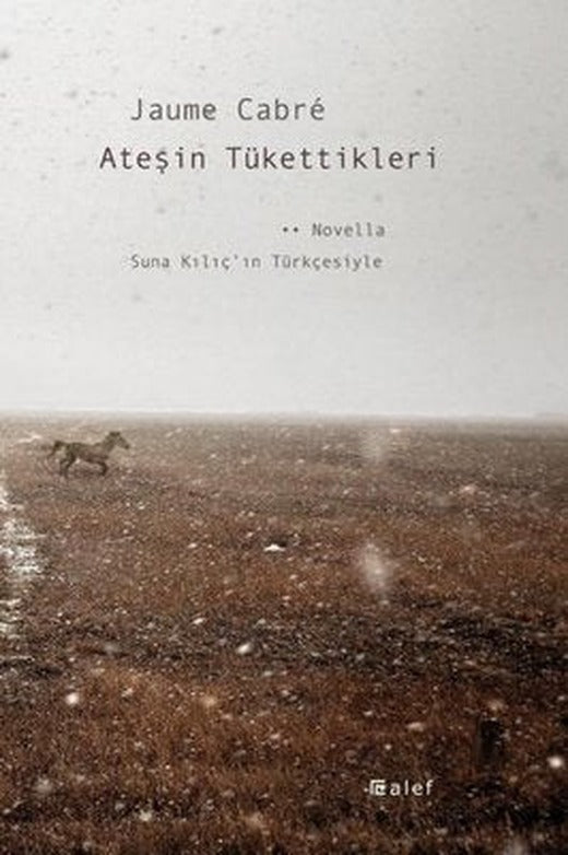 Ateşin Tükettikleri | Alef