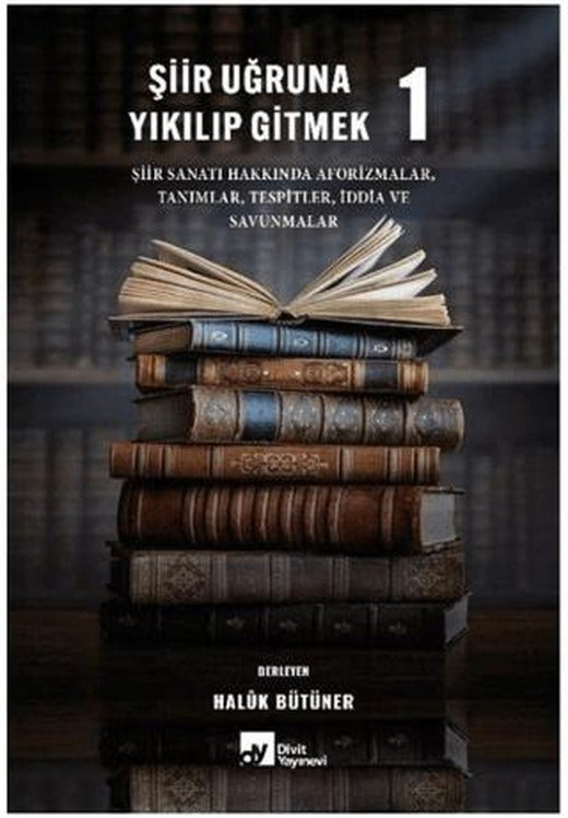 Şiir Uğruna Yıkılıp Gitmek 1