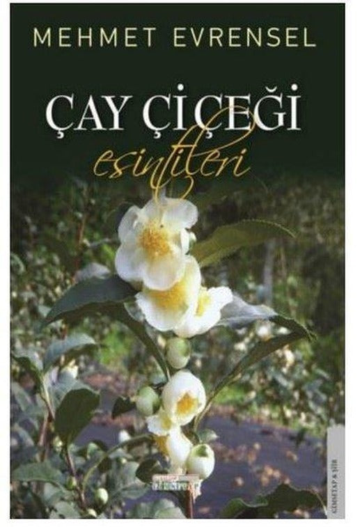 Çay Çiçeği Esintileri | Gimsetap Yayınları (İnce Kapak)