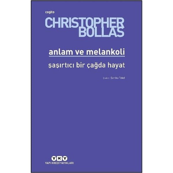 Anlam ve Melankoli - Şaşırtıcı Bir Çağda Hayat | Yapı Kredi Yayınları (İnce Kapak)