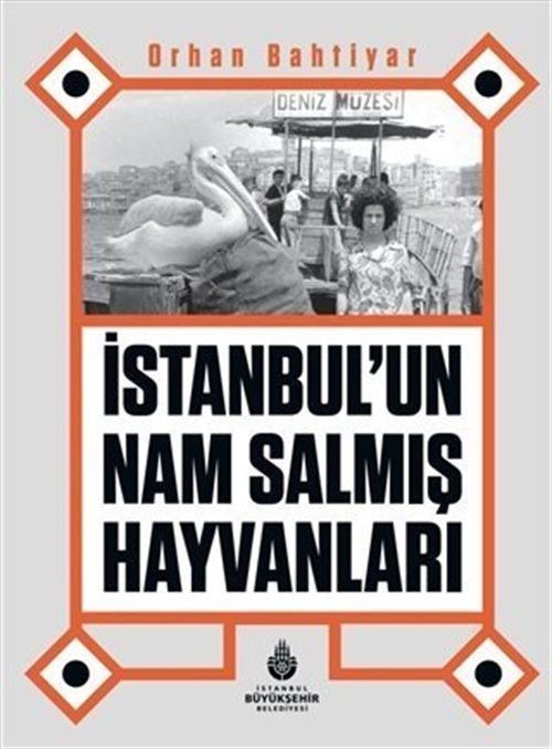 İstanbul’un Nam Salmış Hayvanları | İBB Yayınları (Ciltli)