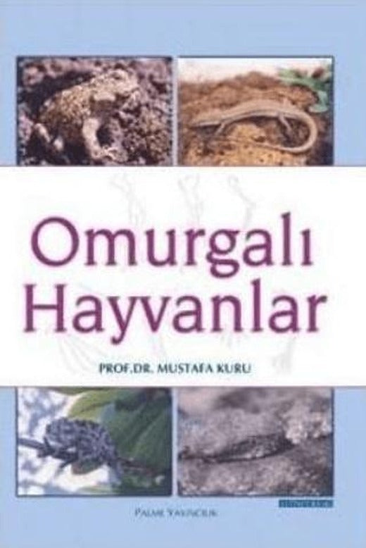 Omurgalı Hayvanlar | Palme Yayıncılık (Ciltsiz)