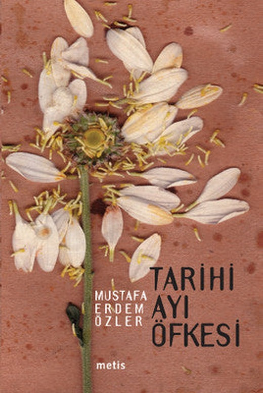Tarihi Ayı Öfkesi | Metis Yayınları