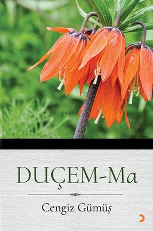 Duçem-Ma | Cinius