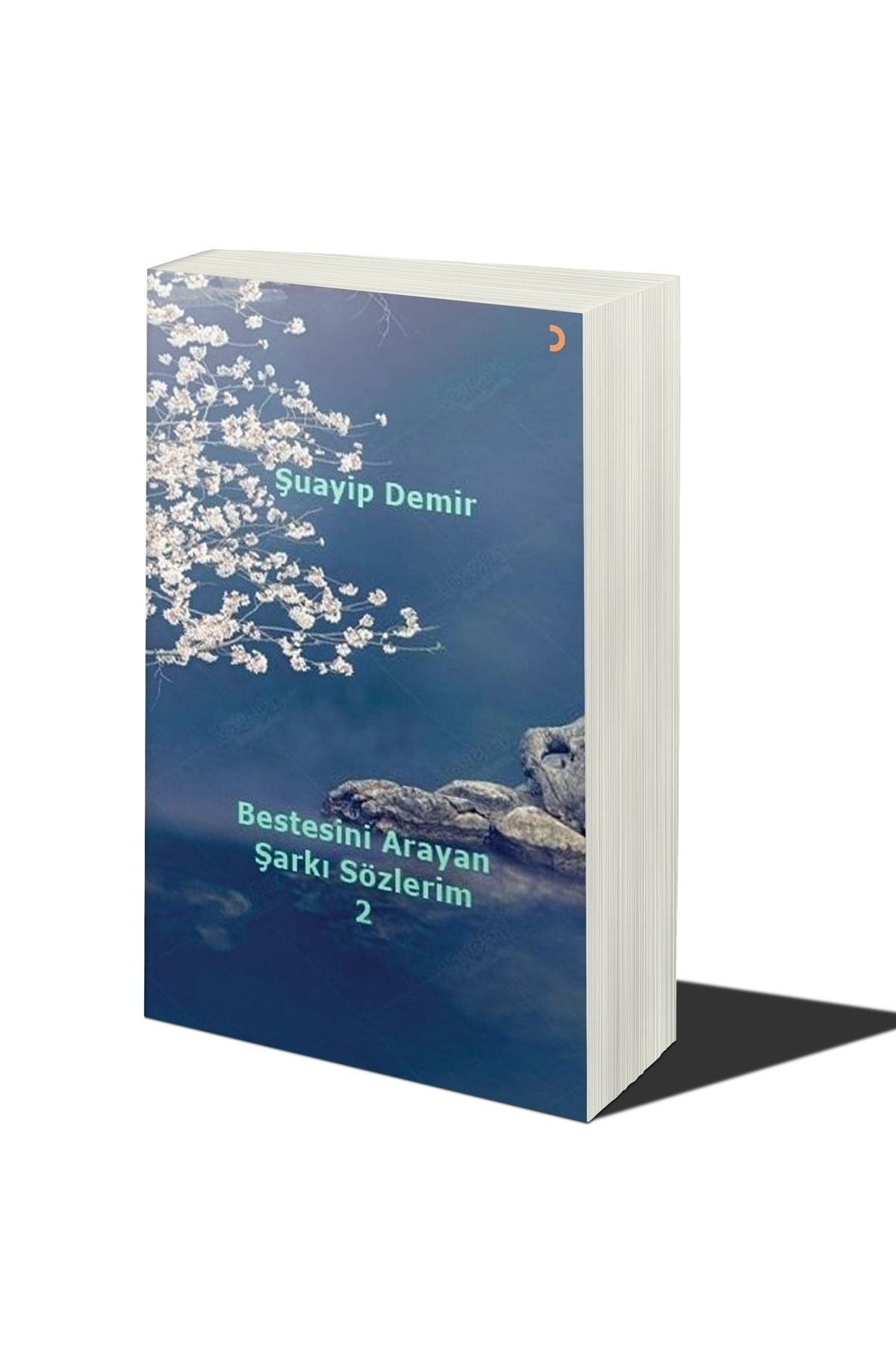 Bestesini Arayan Şarkı Sözlerim 2