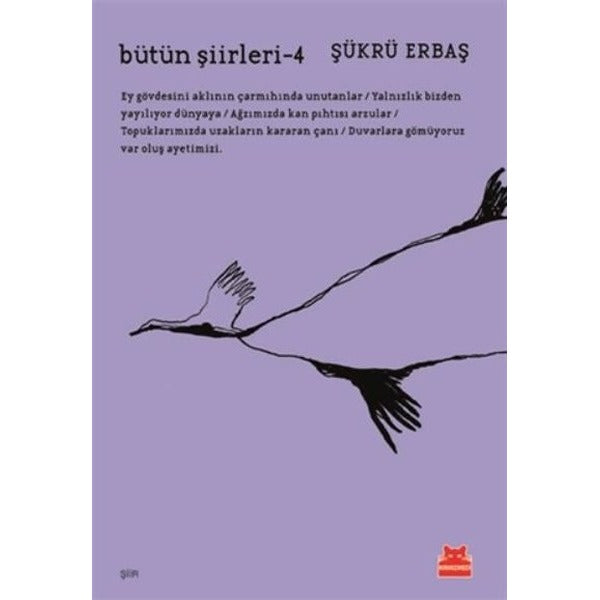Bütün Şiirleri 4 | Kırmızı Kedi
