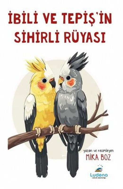 İbili ve Tepiş'in Sihirli Rüyası | Ludena Yayınları (İnce Kapak)