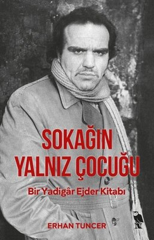 Sokağın Yalnız Çocuğu | Nemesis Kitap