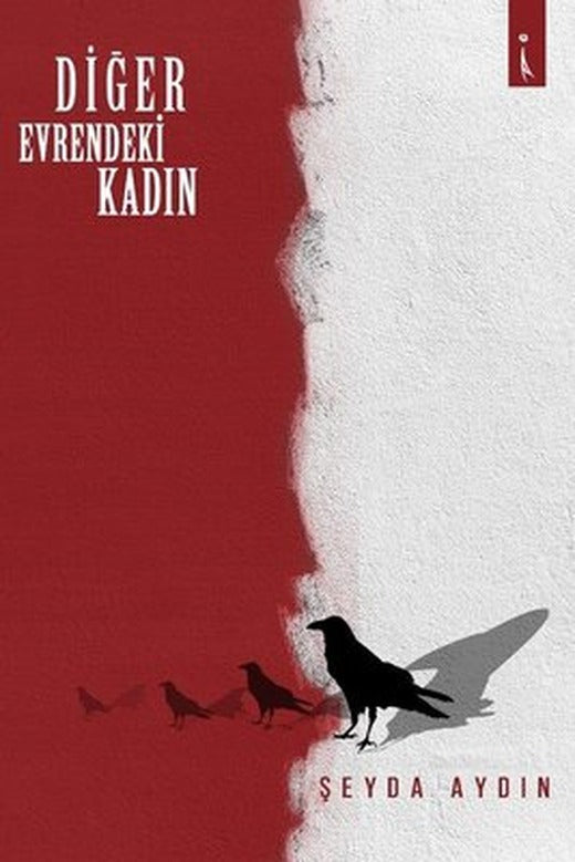 Diğer Evrendeki Kadın | İkinci Adam Yayınları