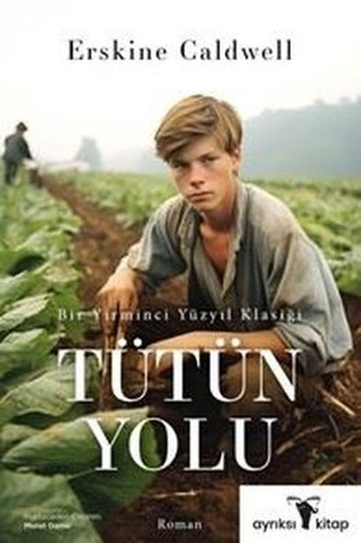 Tütün Yolu - Bir Yirminci Yüzyıl Klasiği | Ayrıksı Kitap (İnce Kapak)