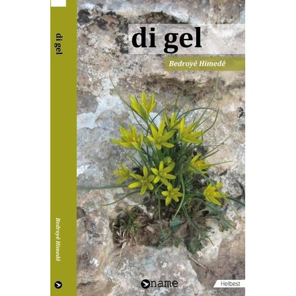 Di Gel