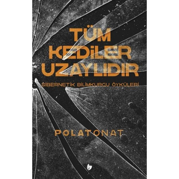 Tüm Kediler Uzaylıdır - Sibernetik Bilimkurgu Öyküleri