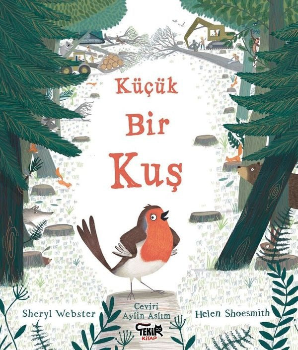 Küçük Bir Kuş | Tekir Kitap (İnce Kapak)