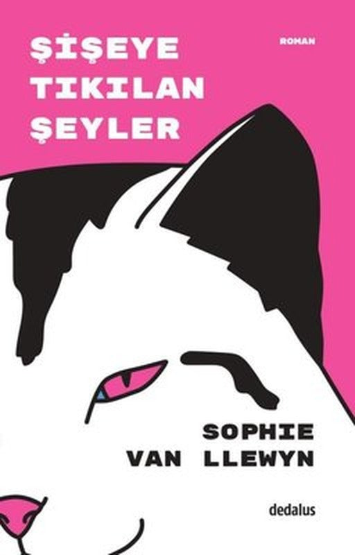 Şişeye Tıkılan Şeyler | Dedalus (İnce Kapak)
