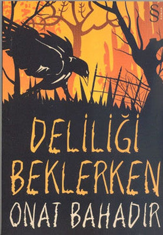 Deliliği Beklerken | Everest Yayınları
