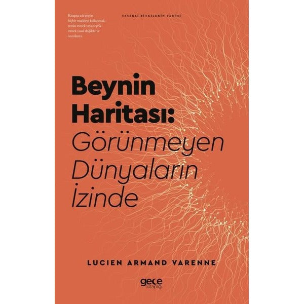 Beynin Haritası: Görünmeyen Dünyaların İzinde | Gece Kitaplığı (İnce Kapak)