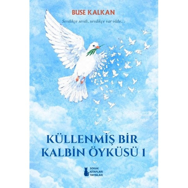 Küllenmiş Bir Kalbin Öyküsü 1 | Sokak Kitapları Yayınları (İnce Kapak)