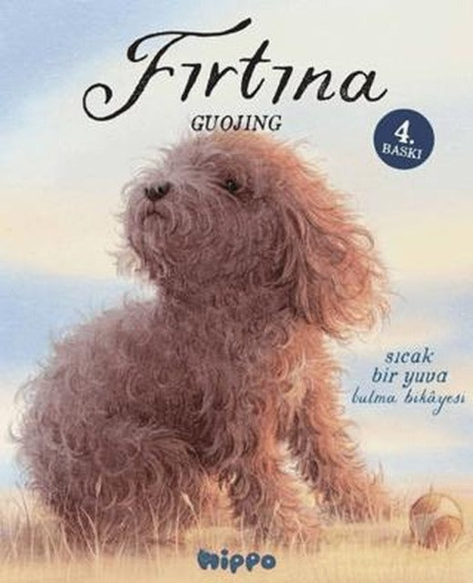 Fırtına