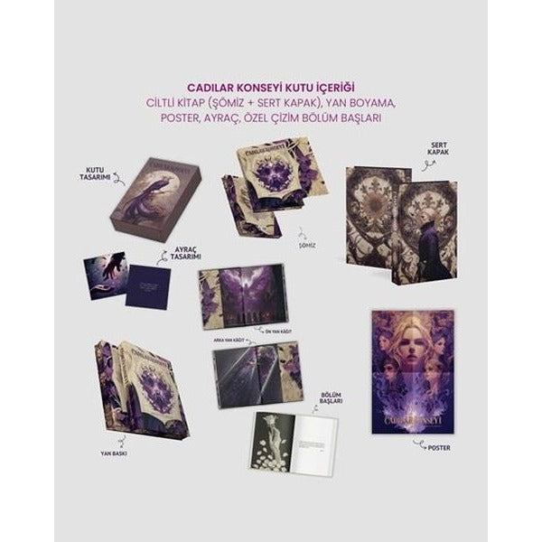 Cadılar Konseyi Seti - Kutulu | Ren Kitap (Ciltli)