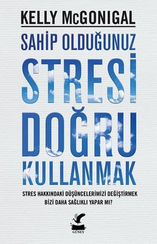 Sahip Olduğunuz Stresi Doğru Kullanmak | Güney Kitap