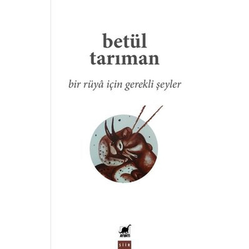 Bir Ruya İçin Gerekli Şeyler | Ayrıntı Yayınları