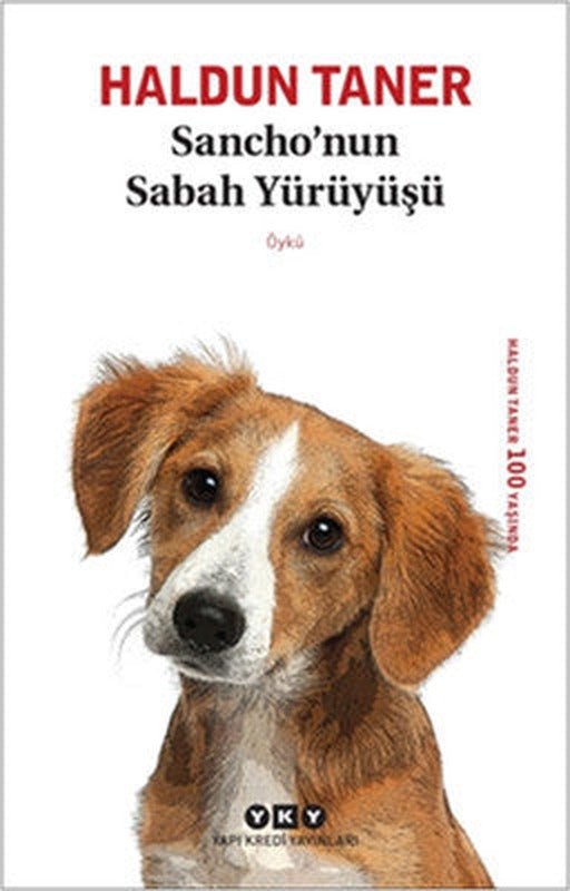 Sancho'nun Sabah Yürüyüşü | Yapı Kredi Yayınları