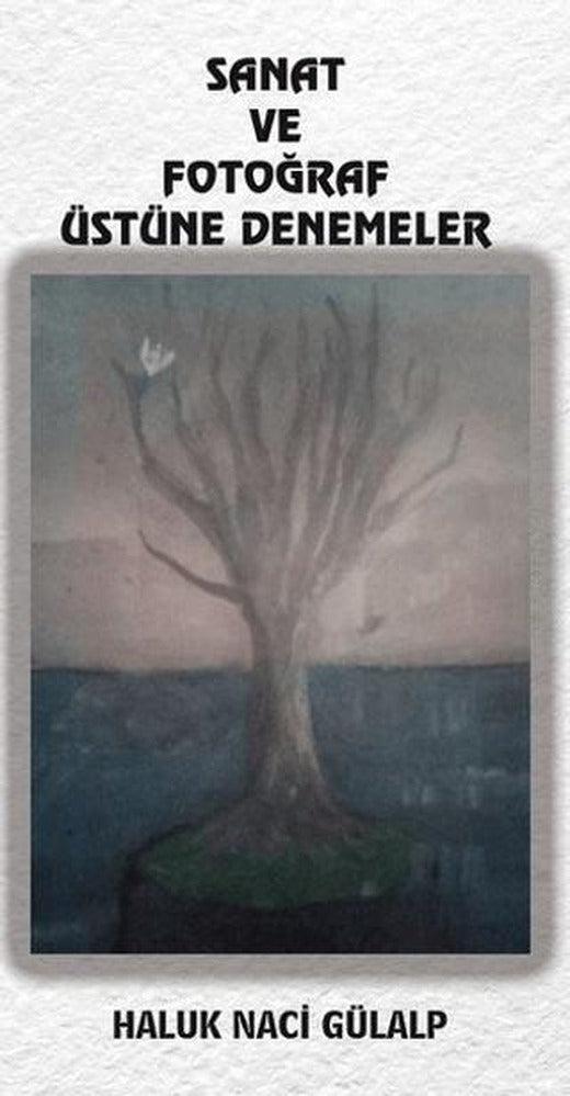 Sanat Ve Fotoğraf Üstüne Denemeler | Platanus Publishing (Ciltsiz)