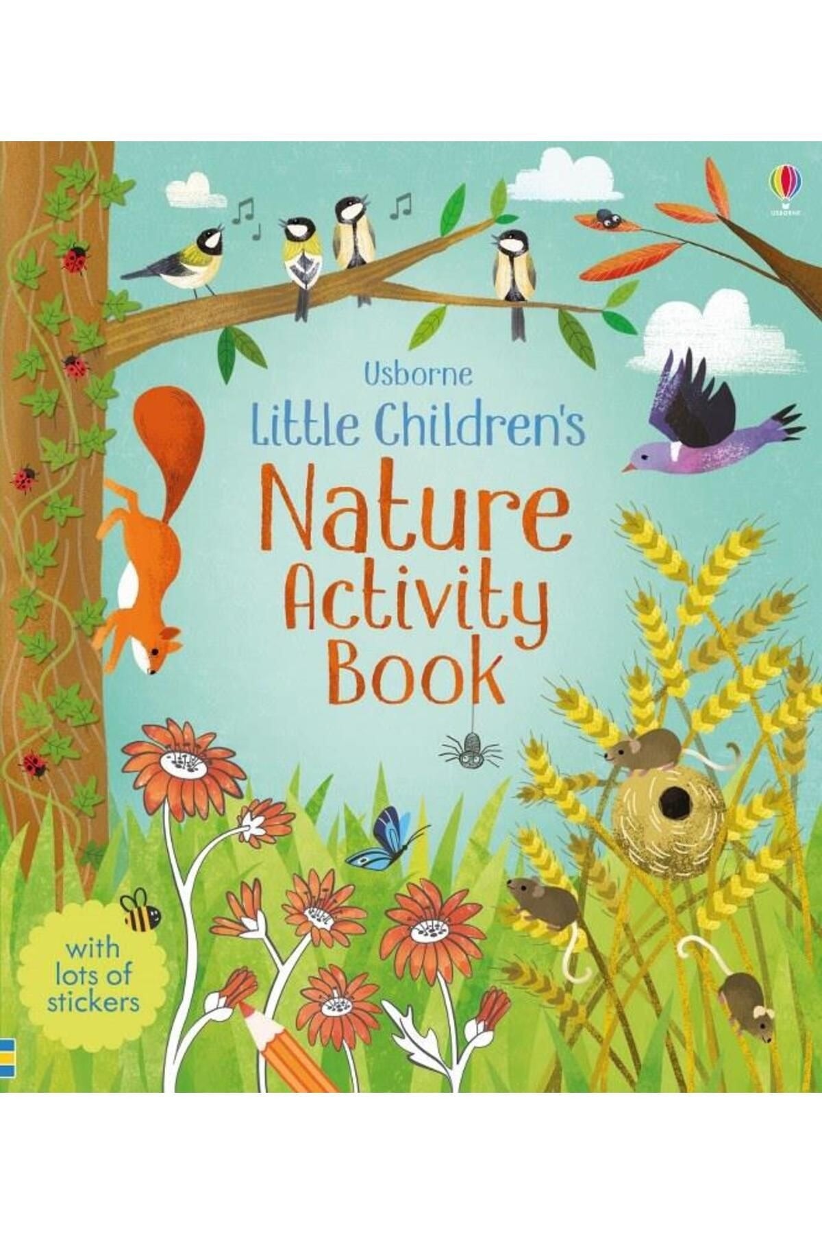 Little Children's Nature Activity Book | Usborne (Ciltsiz)