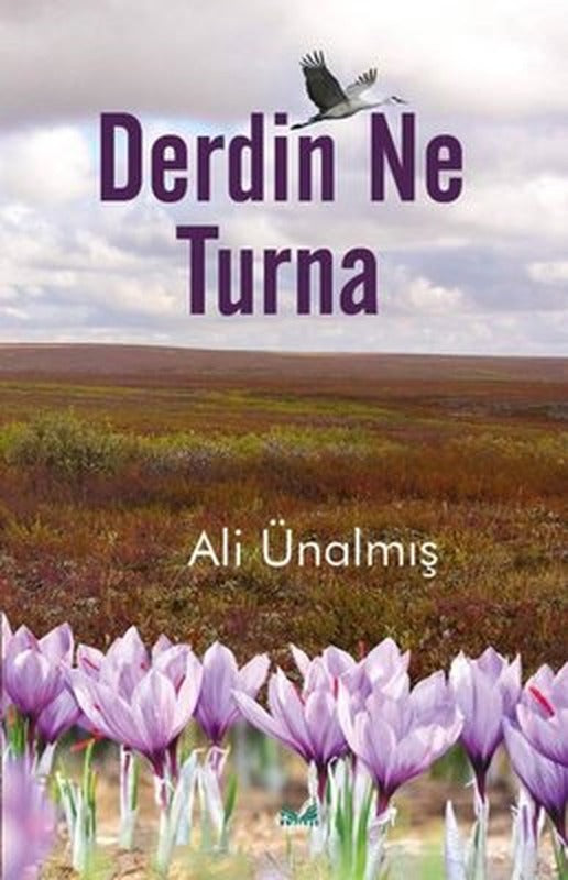 Derdin Ne Turna | İzan Yayıncılık