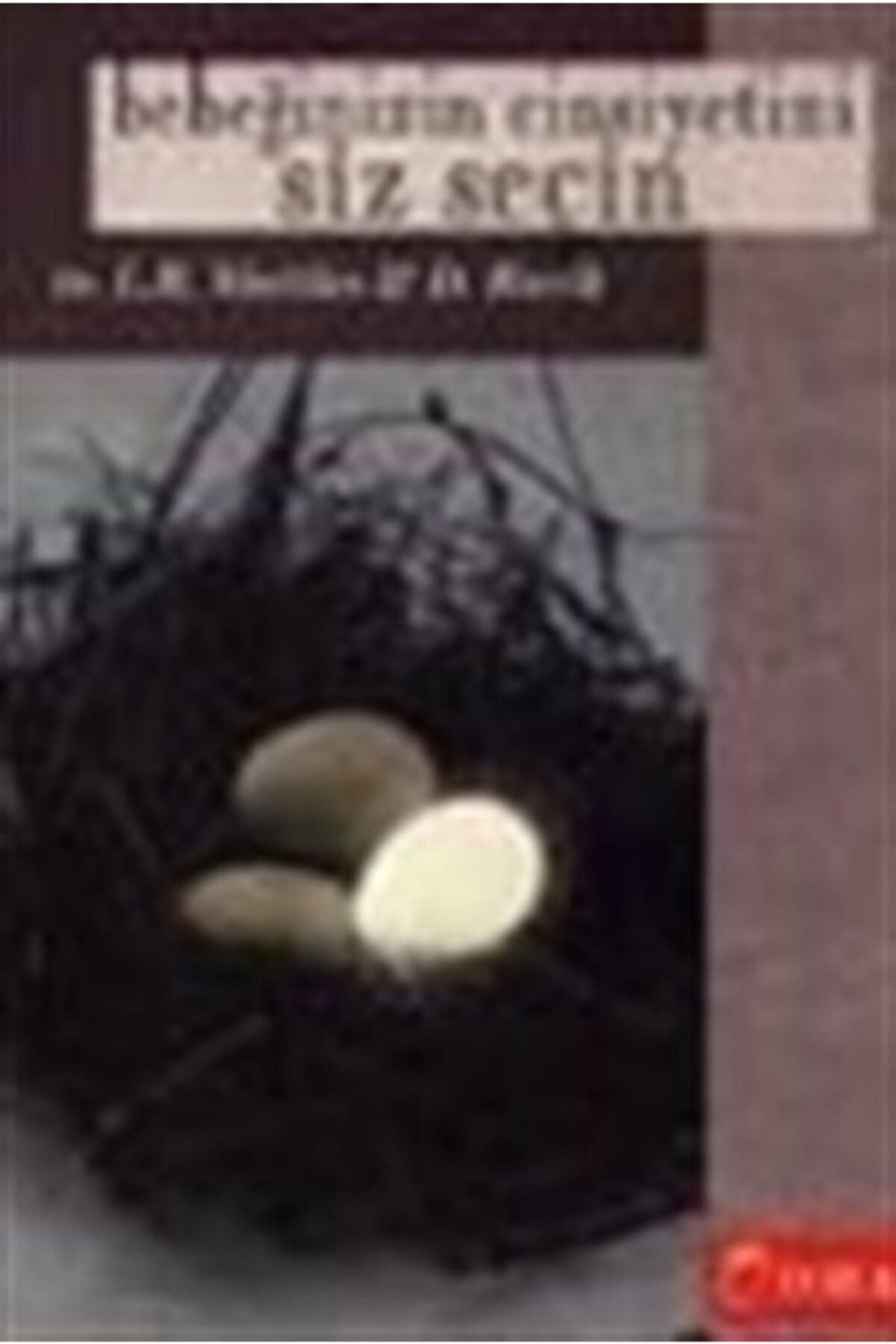 Bebeğinizin Cinsiyetini Siz Seçin - L.B. Shettles kitap kapağı