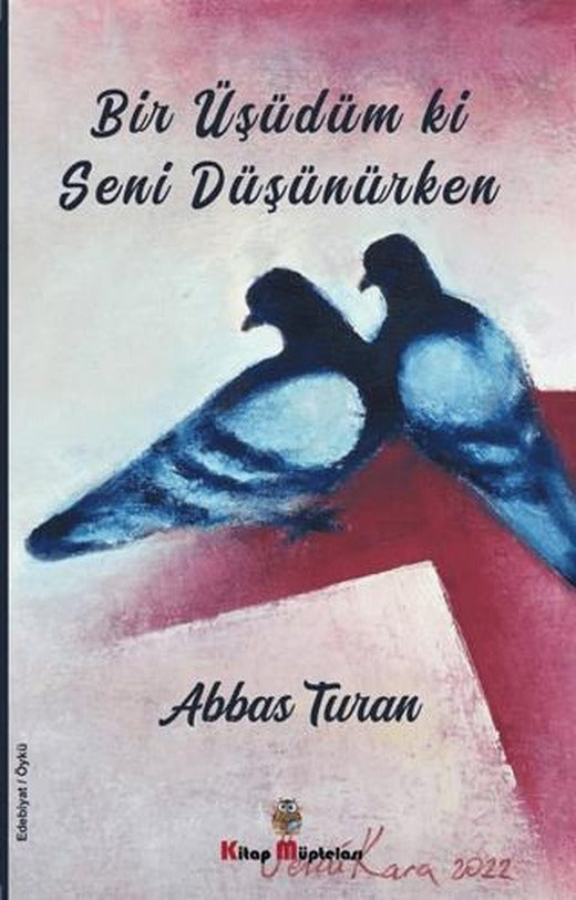 Bir Üşüdüm ki Seni Düşünürken | Kitap Müptelası Yayınları (Ciltsiz)