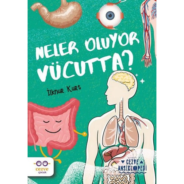 Neler Oluyor Vücutta? Cezve Ansiklopedi | Cezve Çocuk (İnce Kapak)