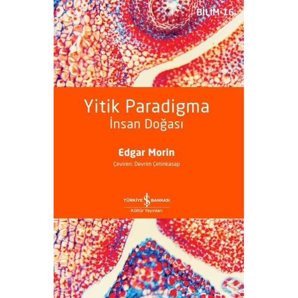 Yitik Paradigma - İnsan Doğası