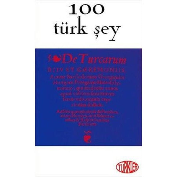 100 Türk Şey
