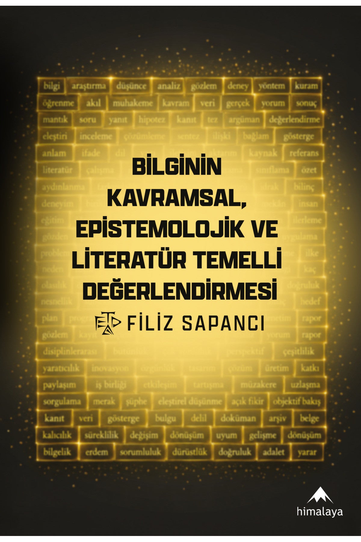 Bilginin Kavramsal, Epistemolojik Ve Literatür Temelli Değerlendirmesi kitap kapağı