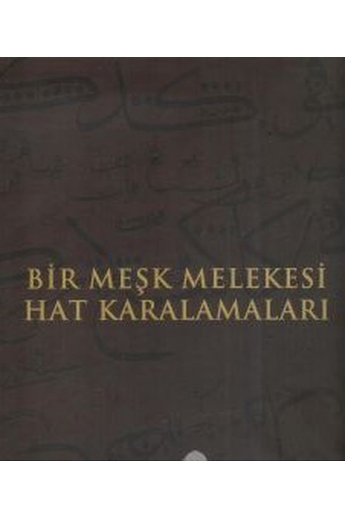 Bir Meşk Melekesi: Hat Karalamaları - Erkan Doğanay (Küratör) kitap kapağı