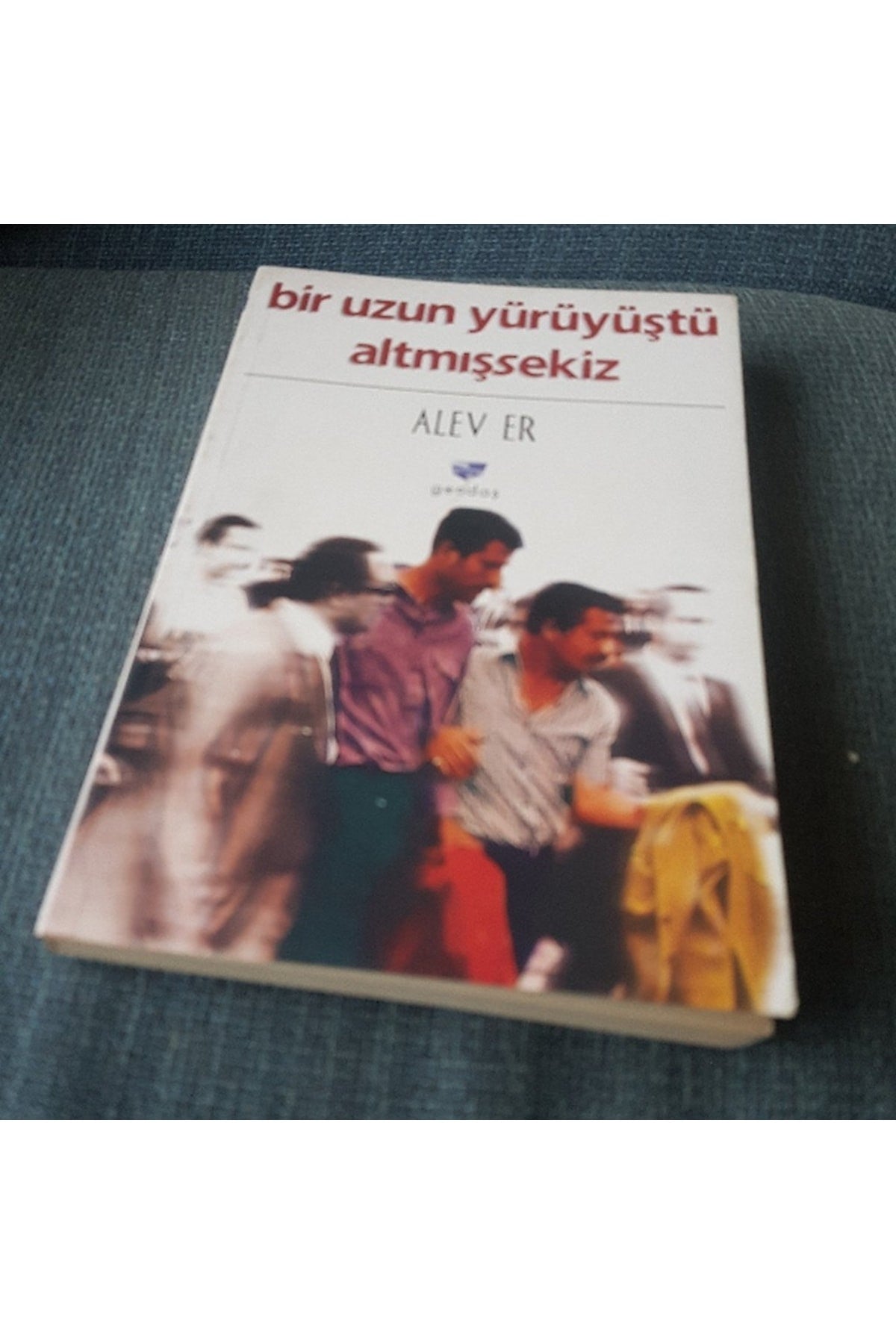 Bir Uzun Yürüyüştü Altmışsekiz - Alev Er kitap kapağı