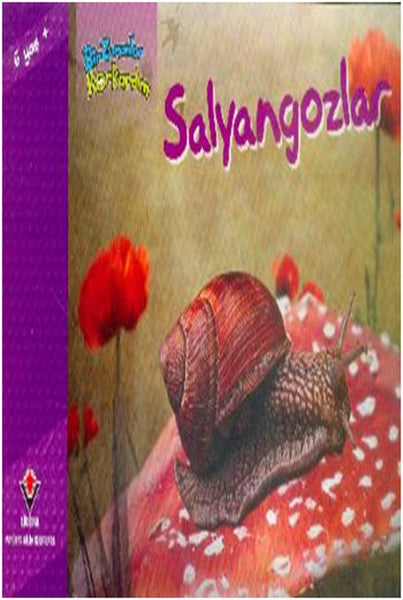 Bir Zamanlar Korkardım - Salyangozlar - Elaine Pascoe kitap kapağı
