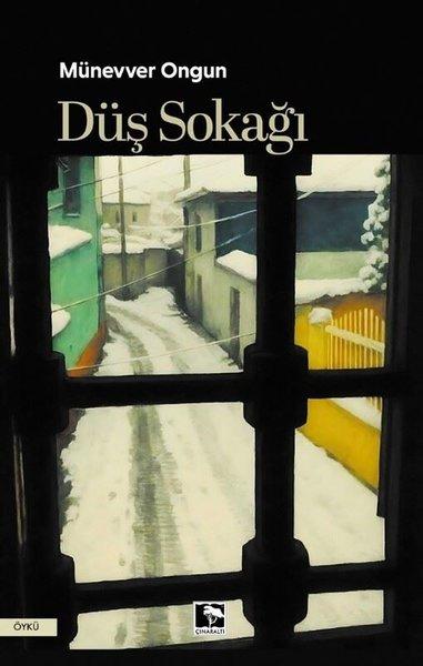 Düş Sokağı | Çınaraltı Yayınları (İnce Kapak)  - Resim 1