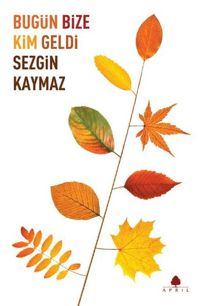 Bugün Bize Kim Geldi - Sezgin Kaymaz kitap kapağı