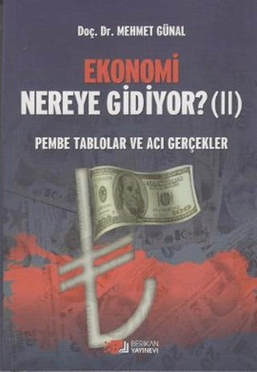 Ekonomi Nereye Gidiyor? (2) | Berikan Yayınevi (Ciltsiz)