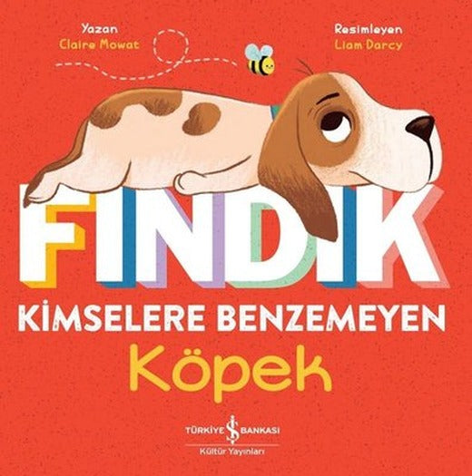 Fındık Kimselere Benzemeyen Köpek | İş Bankası Kültür Yayınları