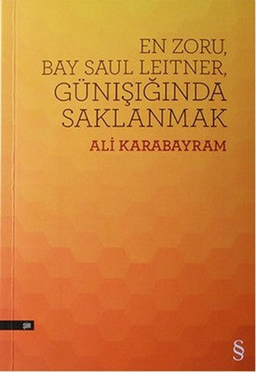 En Zoru Bay Saul Leitner Günışığında Saklanmak | Everest Yayınları